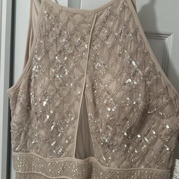 NWT, Aidan Mattox  size 10 champagne color cocktail dress
Sparkly, sequins - Picture 3 of 5